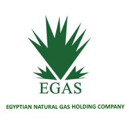 the-egyptian-natural-gas-field-operator-jobs-601184cac59cc